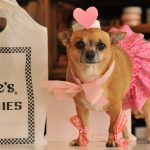 My Funny Valentine