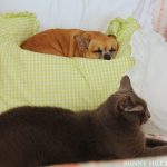 Come along with me!