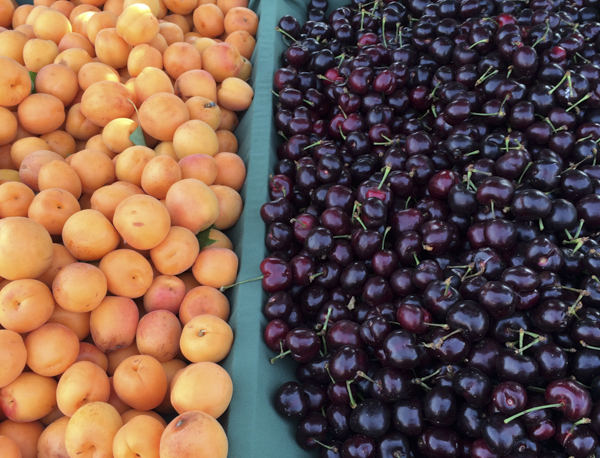 Local Apricots and Cherries at the Farmer's Market. 